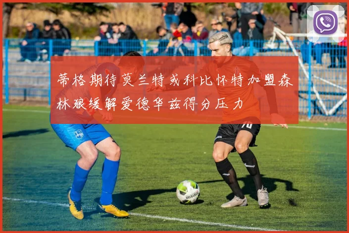 蒂格期待莫兰特或科比怀特加盟森林狼缓解爱德华兹得分压力