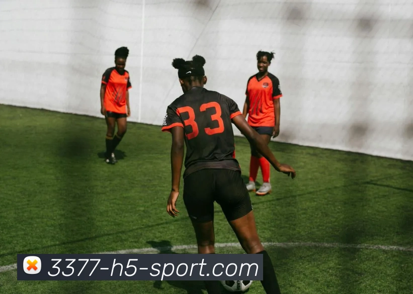 3377体育平台生态图