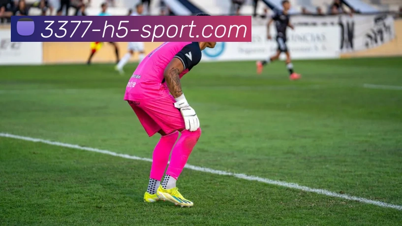 3377体育APP 封面图