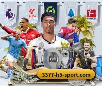 3377体育 APP | 3377Sports