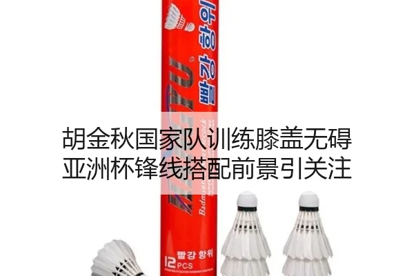 胡金秋国家队训练膝盖无碍 亚洲杯锋线搭配前景引关注